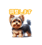 とにかくかわいい ヨークシャーテリア2（個別スタンプ：11）