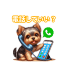 とにかくかわいい ヨークシャーテリア2（個別スタンプ：12）