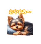 とにかくかわいい ヨークシャーテリア2（個別スタンプ：14）