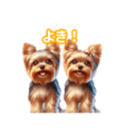 とにかくかわいい ヨークシャーテリア2（個別スタンプ：19）