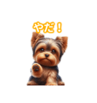とにかくかわいい ヨークシャーテリア2（個別スタンプ：20）