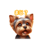 とにかくかわいい ヨークシャーテリア2（個別スタンプ：28）