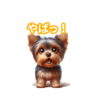 とにかくかわいい ヨークシャーテリア2（個別スタンプ：29）