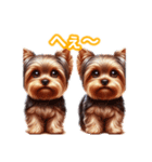 とにかくかわいい ヨークシャーテリア2（個別スタンプ：30）