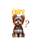 とにかくかわいい ヨークシャーテリア2（個別スタンプ：34）