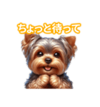 とにかくかわいい ヨークシャーテリア2（個別スタンプ：36）