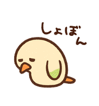 まるいとりスタンプ（個別スタンプ：8）