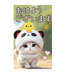 パンダ帽 可愛い猫 状況伝える 敬語 BIG（個別スタンプ：1）