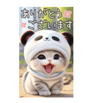 パンダ帽 可愛い猫 状況伝える 敬語 BIG（個別スタンプ：6）