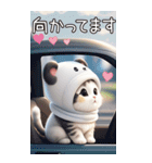 パンダ帽 可愛い猫 状況伝える 敬語 BIG（個別スタンプ：10）