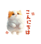 ふわふわ茶トラねこ2（個別スタンプ：11）