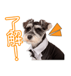 出﨑家の照ちゃん（個別スタンプ：2）