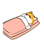 きつねさんの困惑（個別スタンプ：4）