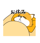 きつねさんの困惑（個別スタンプ：22）