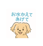ポメプーシフォンちゃんの日常☆（個別スタンプ：7）