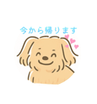 ポメプーシフォンちゃんの日常☆（個別スタンプ：13）