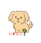ポメプーシフォンちゃんの日常☆（個別スタンプ：19）