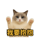仙女感たっぷり猫スタンプ第1弾（個別スタンプ：7）