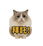 仙女感たっぷり猫スタンプ第1弾（個別スタンプ：8）