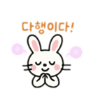 うさぎ韓国語バージョン（個別スタンプ：2）