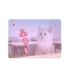 可愛い子猫の日常-6（個別スタンプ：9）