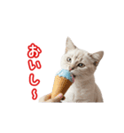 可愛い子猫の日常-6（個別スタンプ：21）