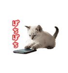 可愛い子猫の日常-6（個別スタンプ：23）