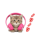 可愛い子猫の日常-6（個別スタンプ：24）
