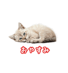 可愛い子猫の日常-6（個別スタンプ：29）