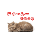 可愛い子猫の日常-6（個別スタンプ：30）