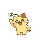 ニャンの日常で使えるスタたち（個別スタンプ：1）