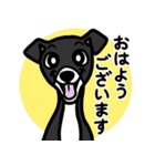 【ブラック3】1年中使える♡パピーイタグレ（個別スタンプ：1）