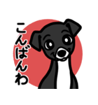 【ブラック3】1年中使える♡パピーイタグレ（個別スタンプ：3）
