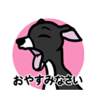 【ブラック3】1年中使える♡パピーイタグレ（個別スタンプ：4）