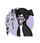 【ブラック3】1年中使える♡パピーイタグレ（個別スタンプ：5）