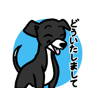 【ブラック3】1年中使える♡パピーイタグレ（個別スタンプ：6）