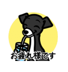 【ブラック3】1年中使える♡パピーイタグレ（個別スタンプ：8）
