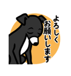 【ブラック3】1年中使える♡パピーイタグレ（個別スタンプ：9）