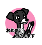 【ブラック3】1年中使える♡パピーイタグレ（個別スタンプ：18）