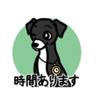 【ブラック3】1年中使える♡パピーイタグレ（個別スタンプ：21）