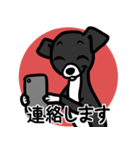 【ブラック3】1年中使える♡パピーイタグレ（個別スタンプ：24）