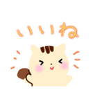 ずっと使える☆リスさんのスタンプ（個別スタンプ：11）