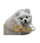 ふわりの日常すたんぷ1（個別スタンプ：3）