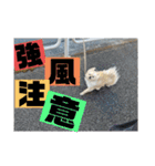 ふわりの日常すたんぷ1（個別スタンプ：6）