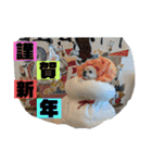 ふわりの日常すたんぷ1（個別スタンプ：8）