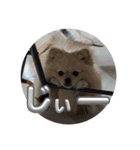 ふわりの日常すたんぷ1（個別スタンプ：13）