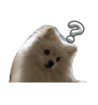 ふわりの日常すたんぷ1（個別スタンプ：14）