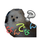 ふわりの日常すたんぷ1（個別スタンプ：21）