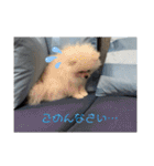ふわりの日常すたんぷ1（個別スタンプ：27）
