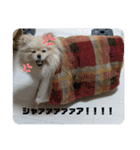 ふわりの日常すたんぷ1（個別スタンプ：32）
